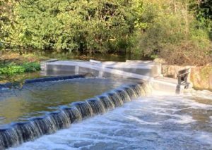 Fish Passage Project, River Colne and Frays, Denham 